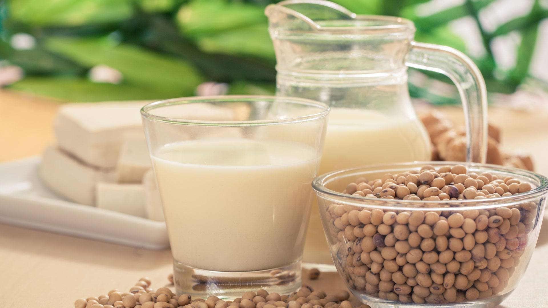 6-types-of-soy-defined-superfoodsrx-change-your-life-with-superfoods